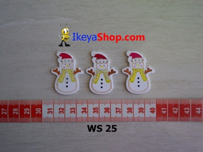 WS 25  large2